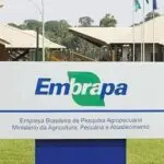 Concurso público Embrapa: definida banca para edital com 1.033 vagas e remuneração de até R$ 12.814,61.